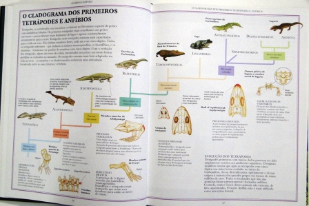 Enciclopédia Dos Dinossauros E Da Vida Pré-Histórica - Biodiversidade Books