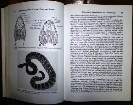 Snake Venom Poisoning - Biodiversidade Books