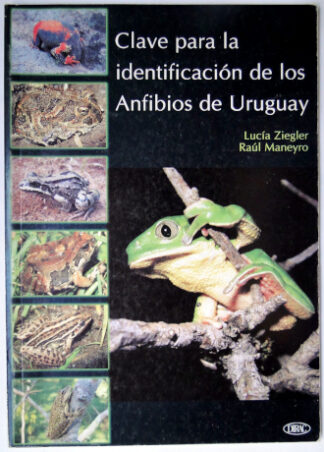 Clave para la identificación de los anfibios de Uruguay