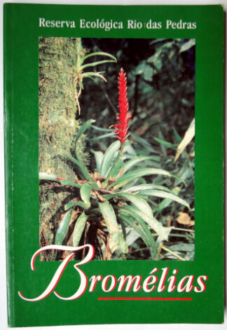 Bromélias - Reserva Ecológica Rio das Pedras