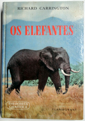 Os Elefantes