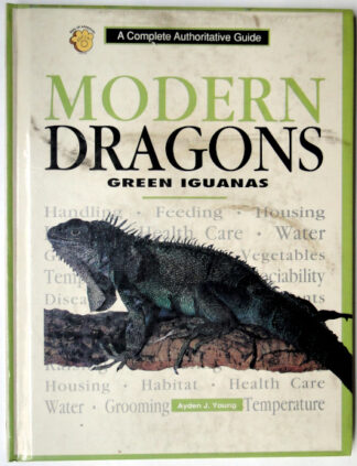 Modern Dragons Green Iguanas