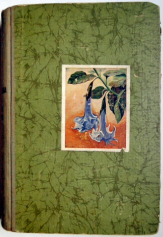 La Maravillosa Vida de Las Plantas - Uma Botânica para Todos