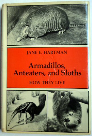 Armadillos, Anteaters, and Sloths - How They Live